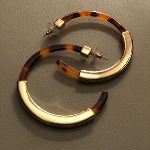 Tassiana Resin Hoop Earrings